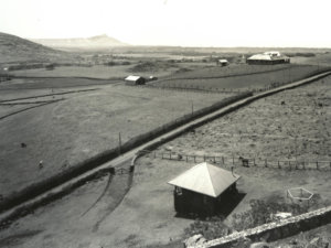 Farming in Manoa